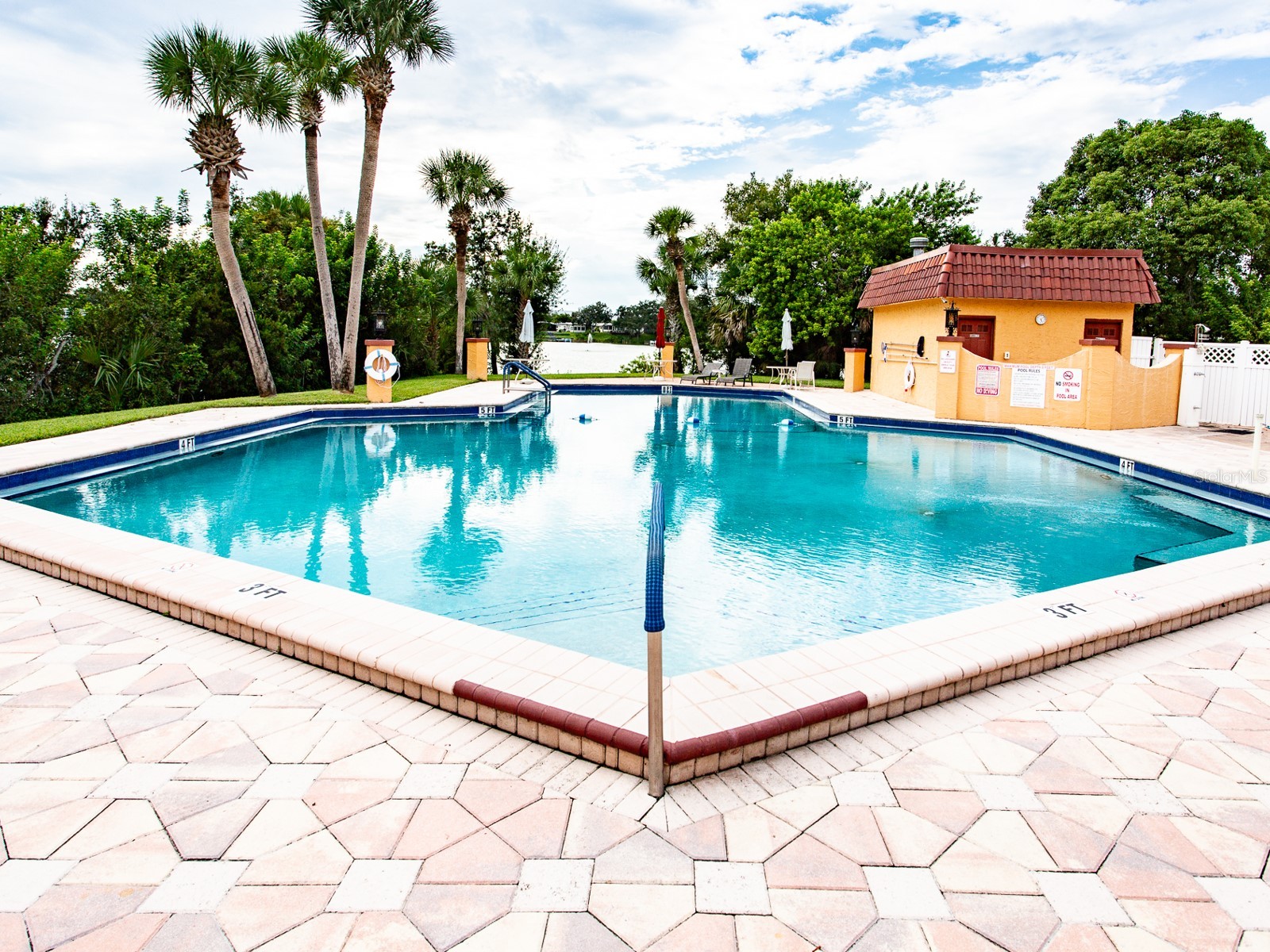 2055 S Floral Avenue #238 Bartow FL 33830 L4959997 image33