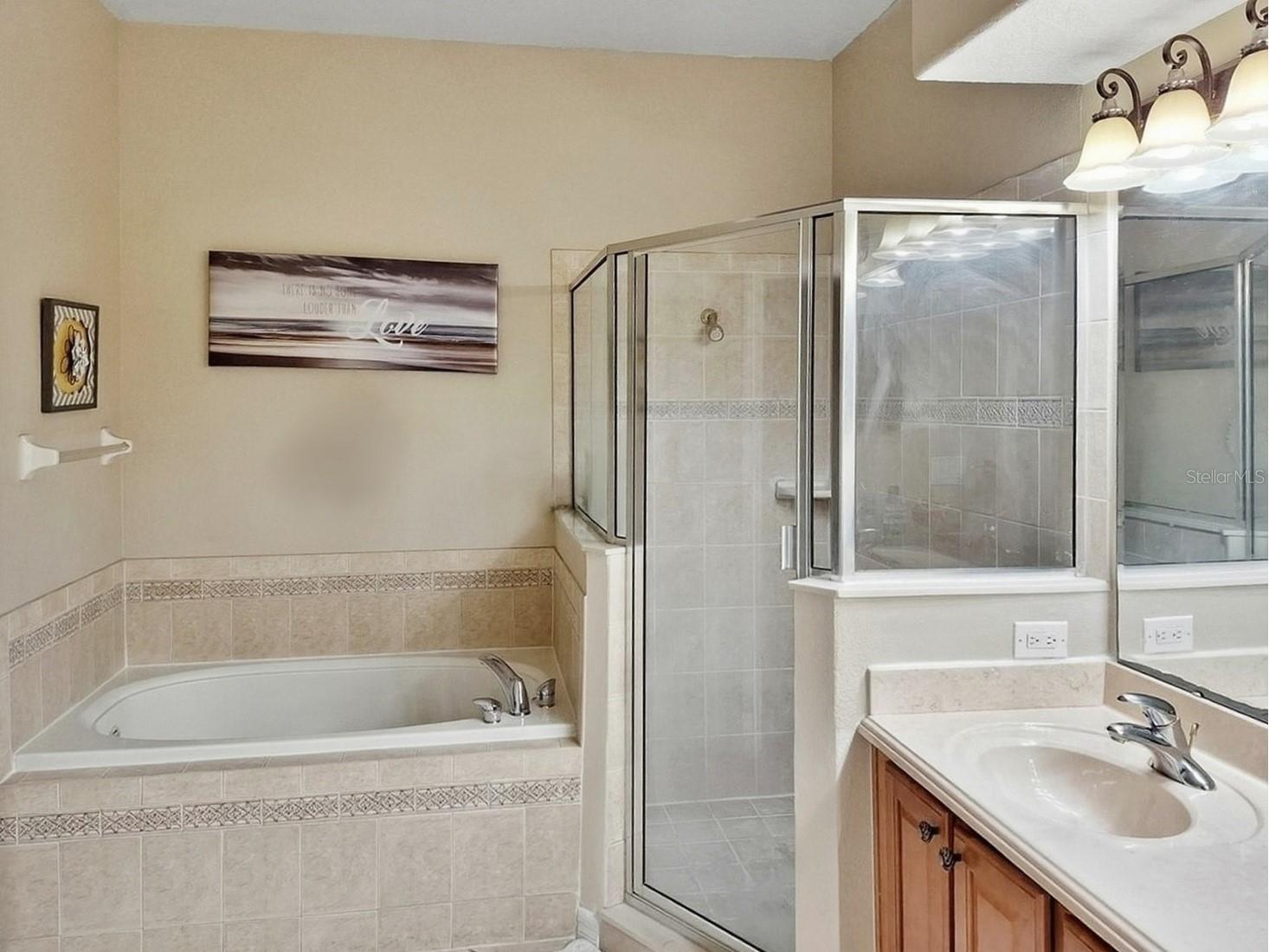 2056 Clapper Trail Apopka FL 32703 O6385660 image11