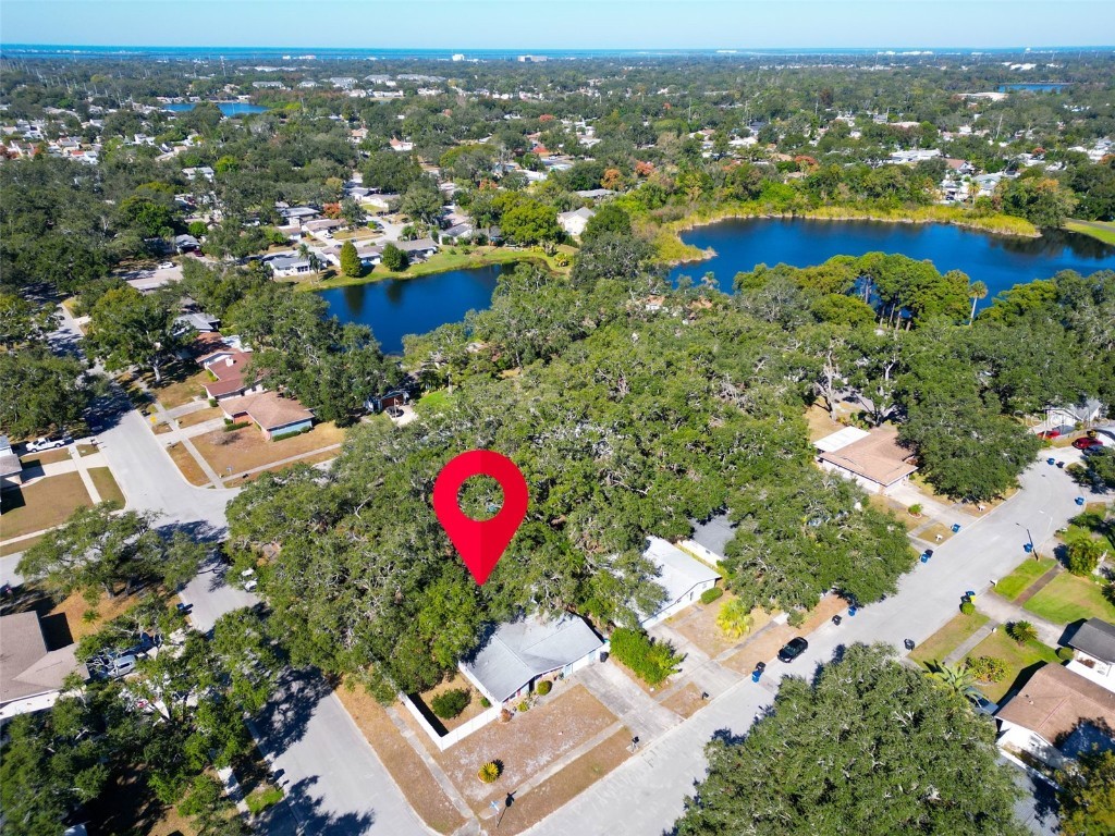 2056 Red Cedar Lane E Clearwater FL 33763 TB8445803 image32