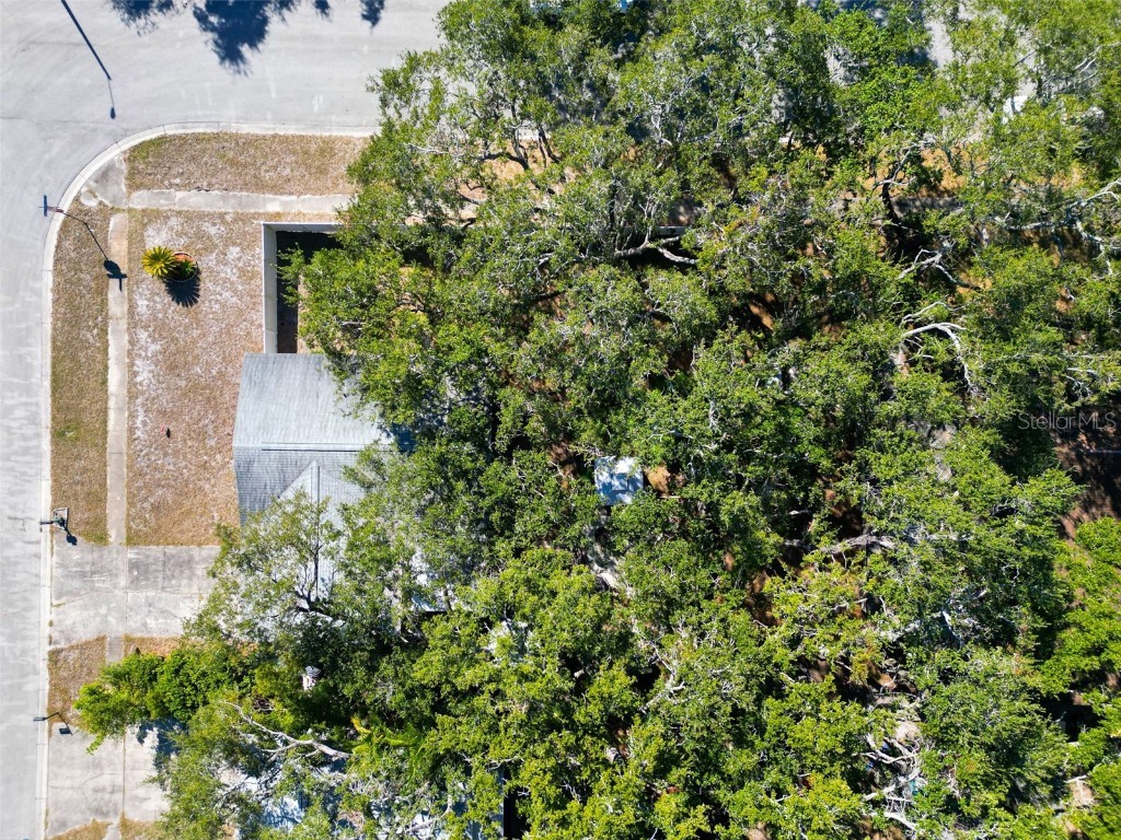 2056 Red Cedar Lane E Clearwater FL 33763 TB8445803 image36