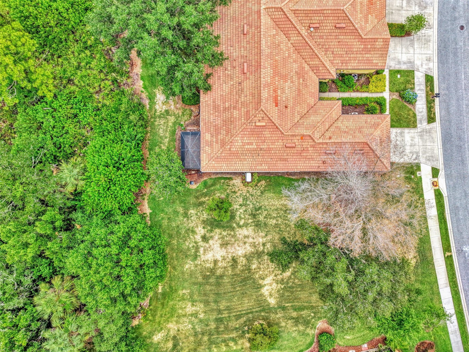 20567 Cornaro Court Venice FL 34292 N6144634 image66