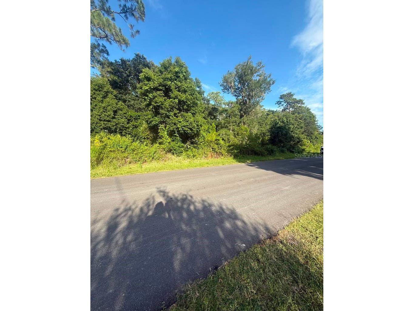 2057 8th Avenue Deland FL 32724 O6417419 image11