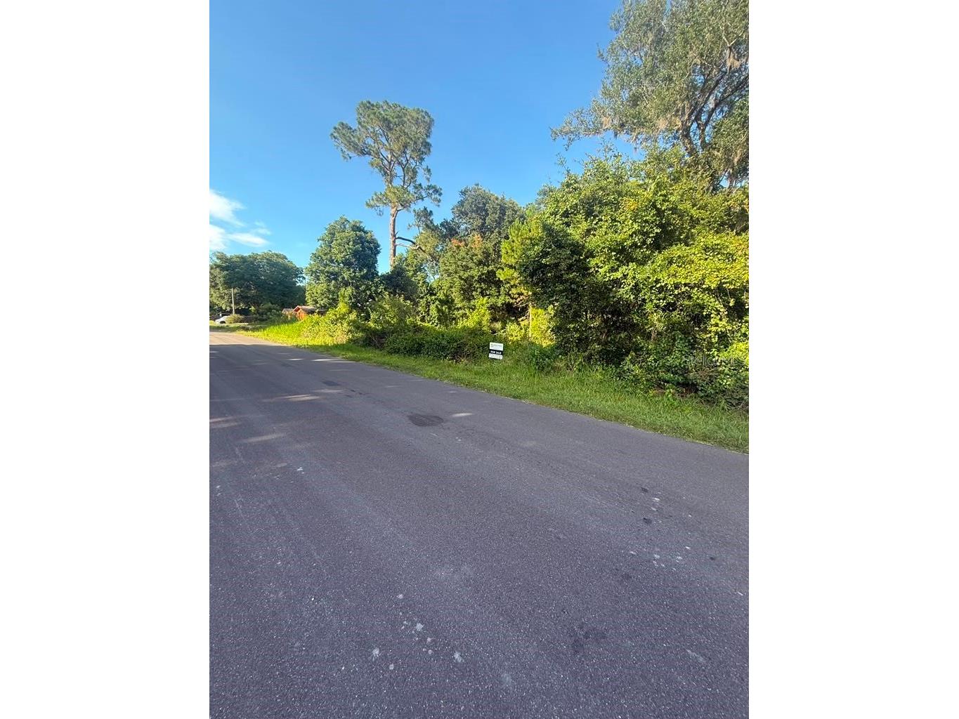2057 8th Avenue Deland FL 32724 O6417419 image13