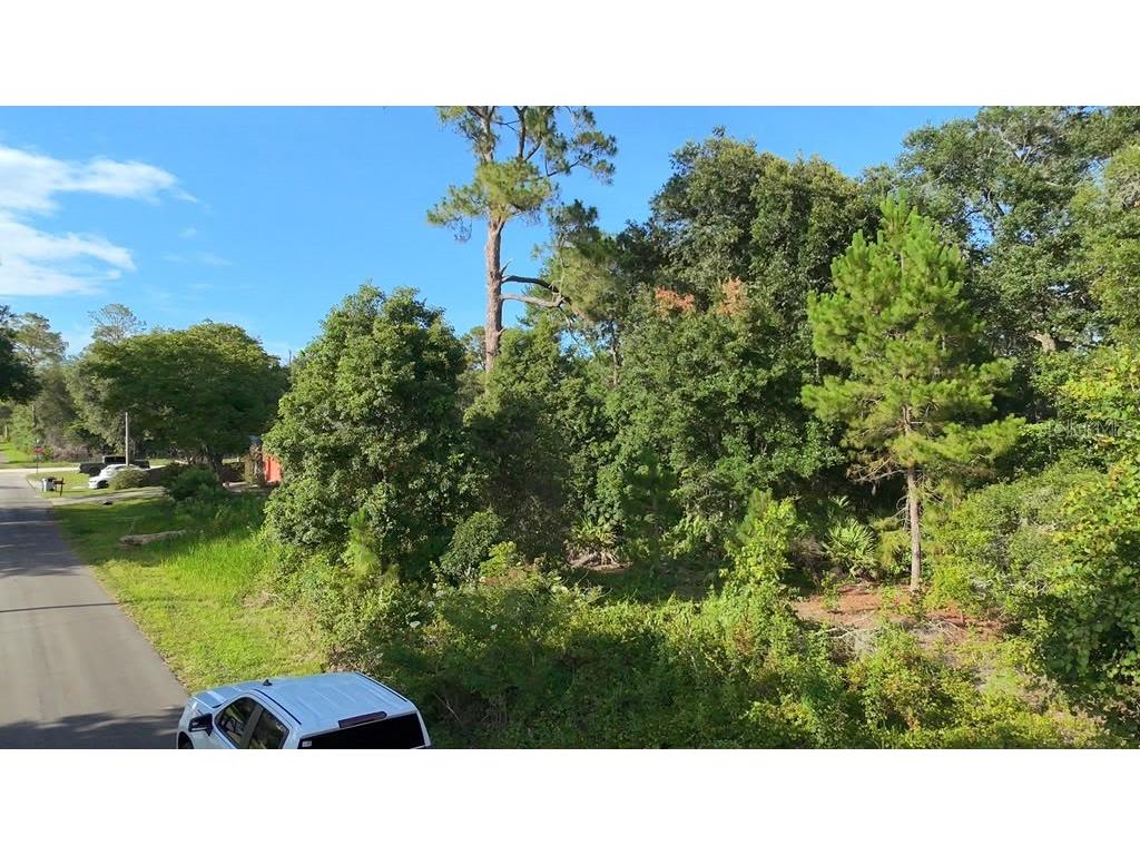2057 8th Avenue Deland FL 32724 O6417419 image3