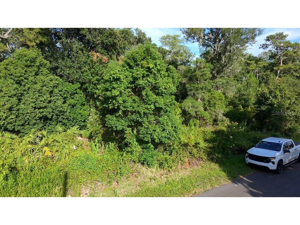 2057 8th Avenue Deland FL 32724 O6417419 image5