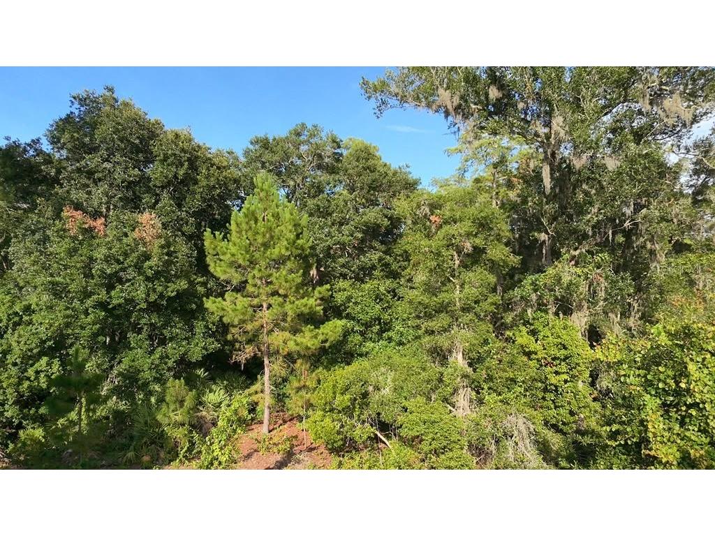 2057 8th Avenue Deland FL 32724 O6417419 image8