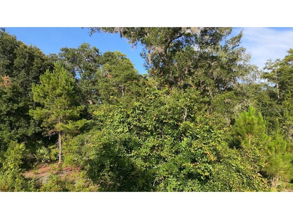 2057 8th Avenue Deland FL 32724 O6417419 image9