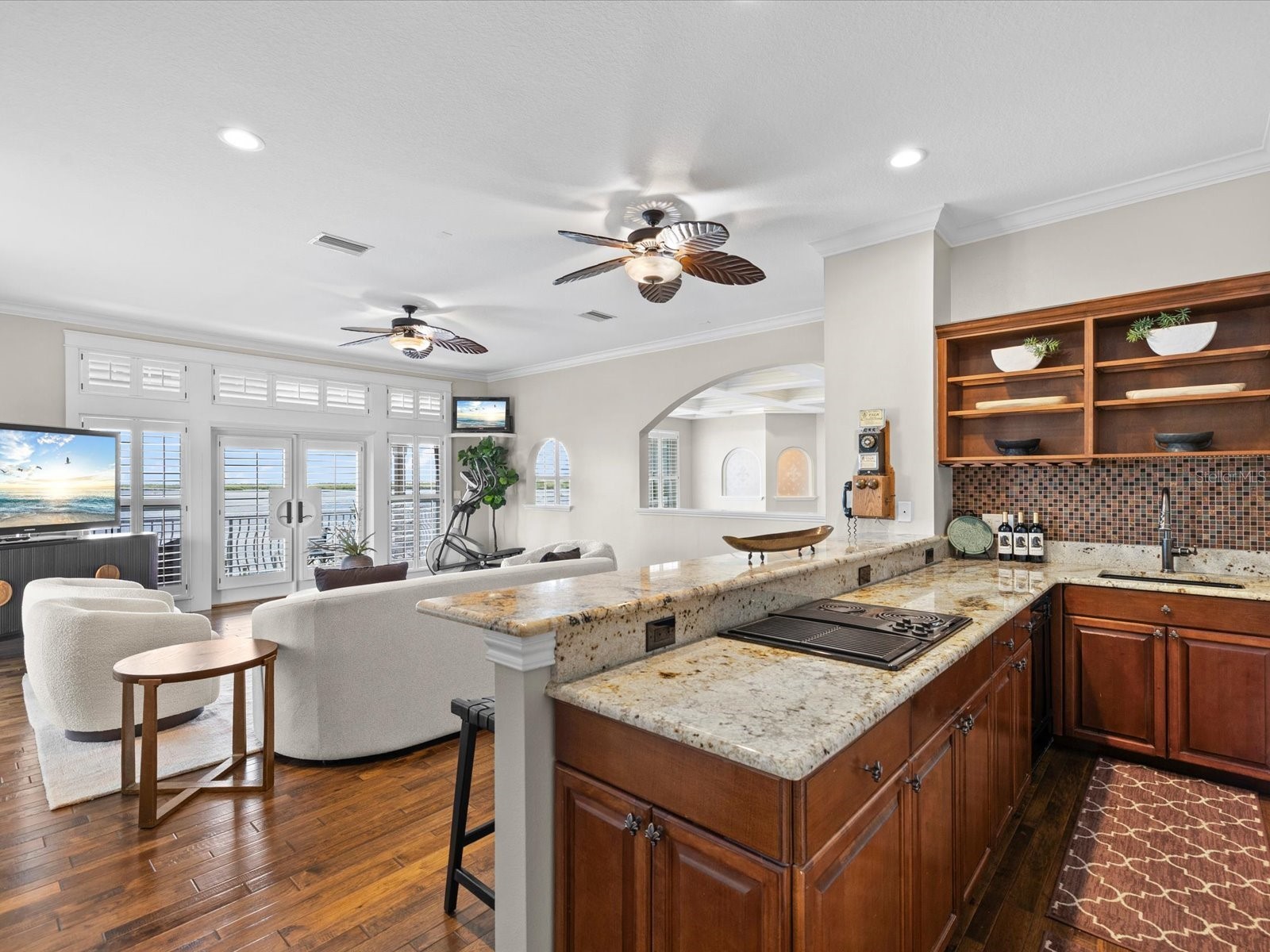 2057 N Pointe Alexis Drive Tarpon Springs FL 34689 TB8521950 image32