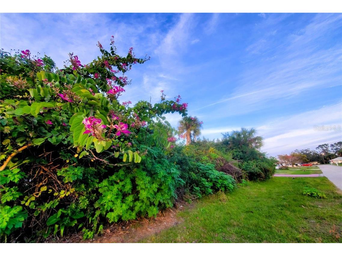 20578 Tappan Zee Drive Port Charlotte FL 33952 C7486279 image1