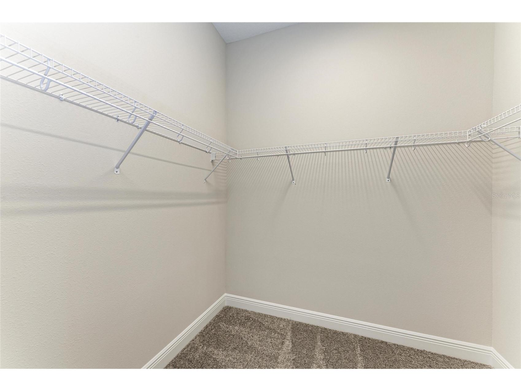 2058 Arching Branch Drive Zephyrhills FL 33541 TB8470627 image10