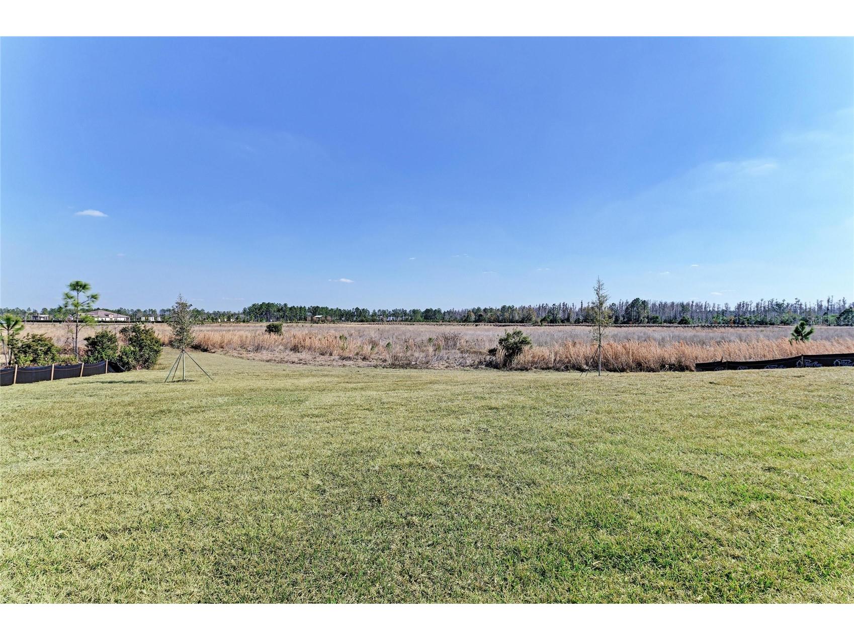 2058 Arching Branch Drive Zephyrhills FL 33541 TB8470627 image40