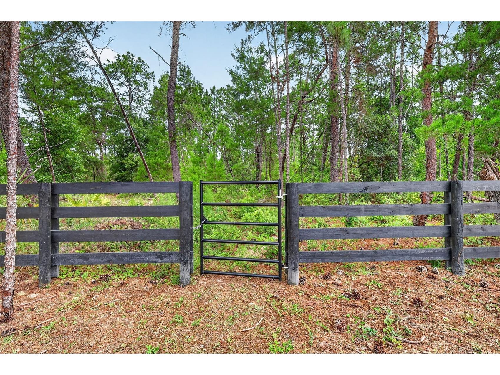 2058 County Road 243f Wildwood FL 34785 OM726414 image50