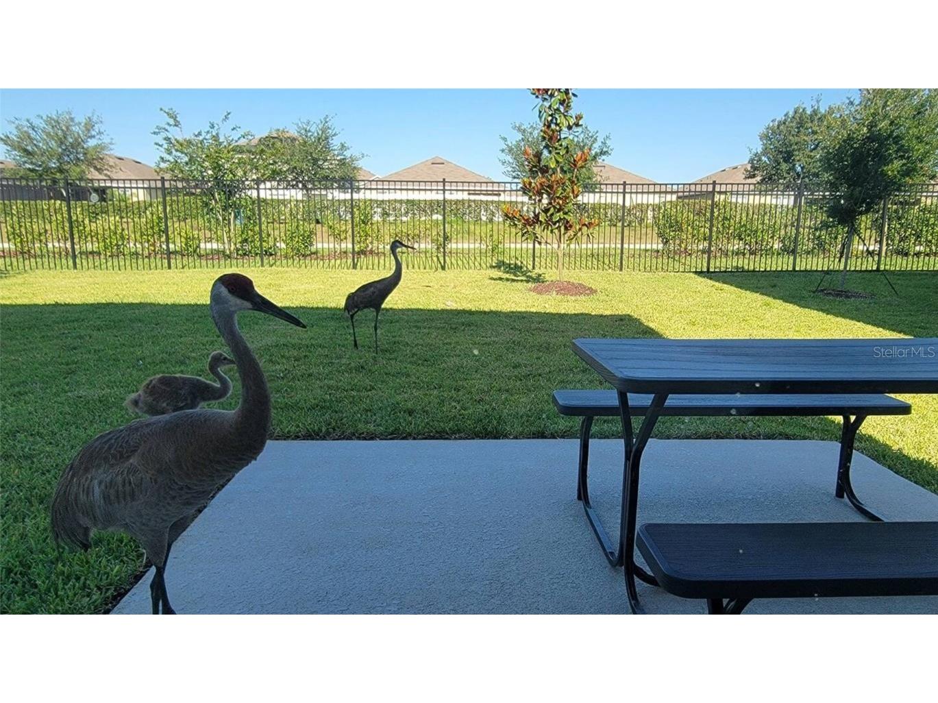 2058 Derwent Drive Davenport FL 33896 O6270251 image17