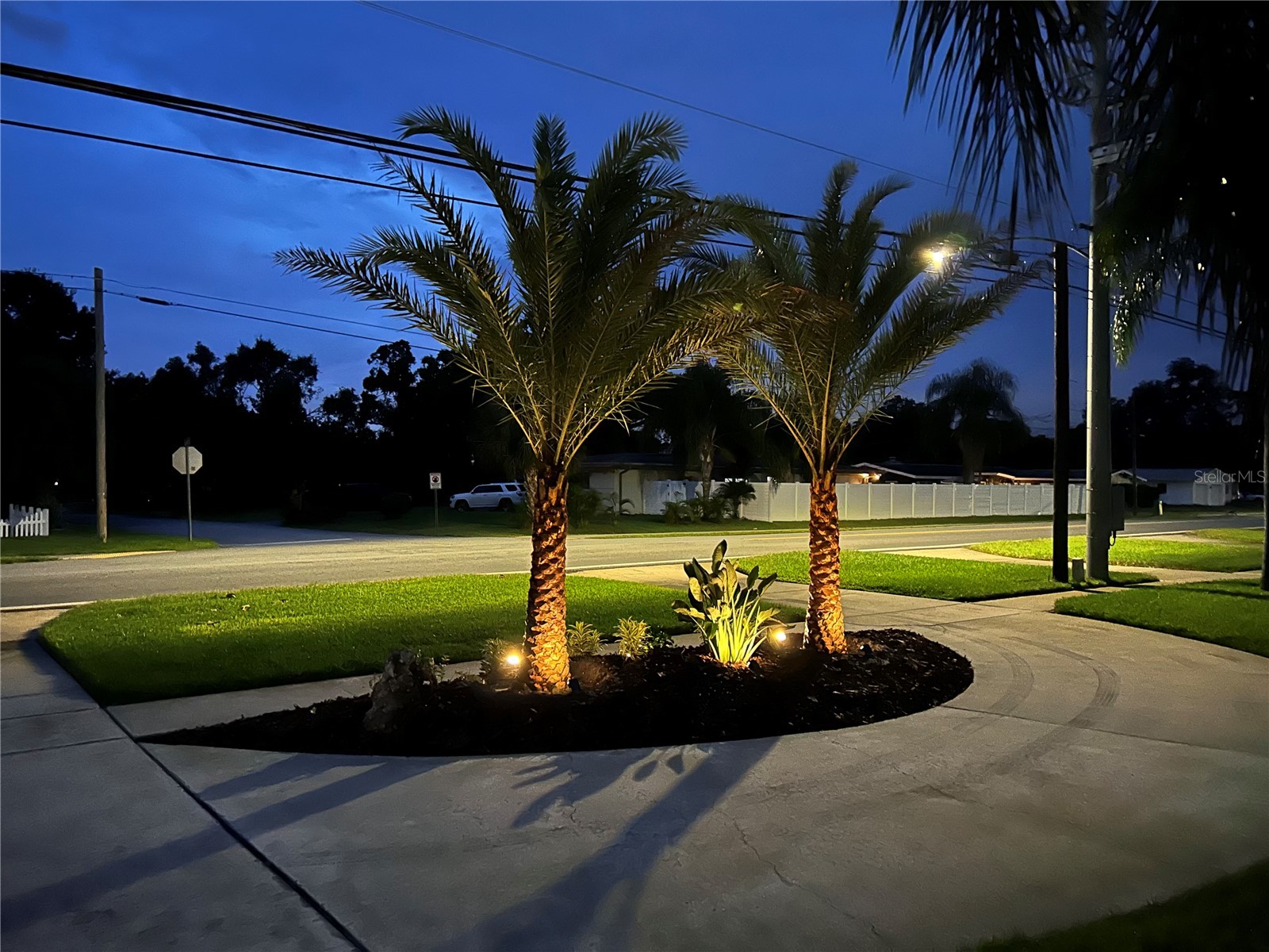 2058 Nursery Road Clearwater FL 33764 TB8484055 image5