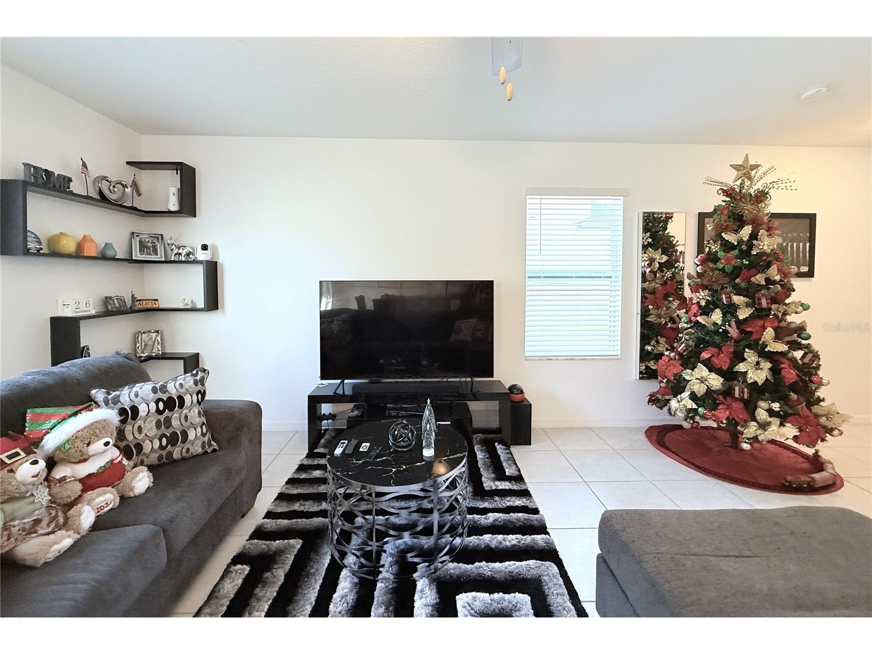 2058 Stellar Brilliance Way Lutz FL 33558 TB8459415 image14