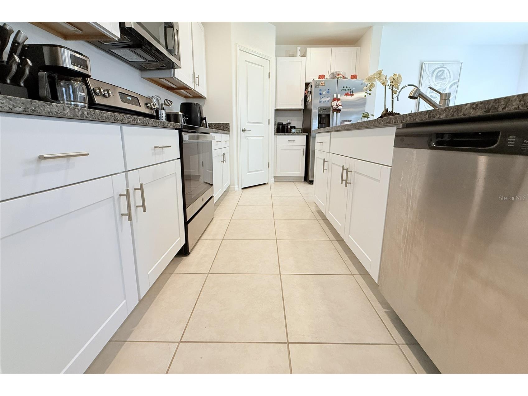 2058 Stellar Brilliance Way Lutz FL 33558 TB8459415 image26