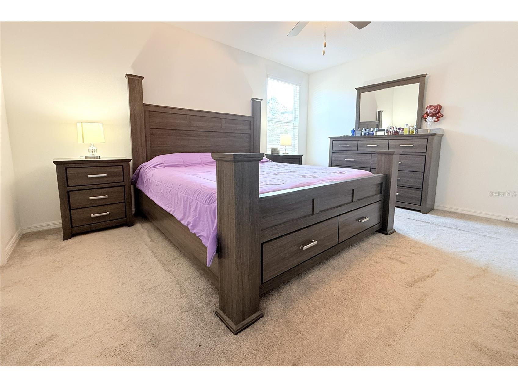 2058 Stellar Brilliance Way Lutz FL 33558 TB8459415 image35