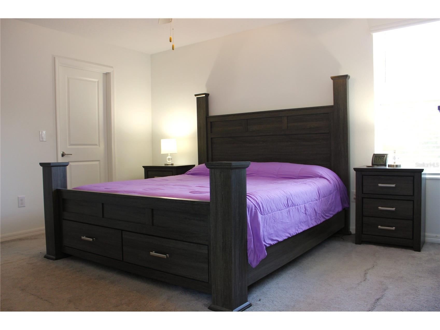 2058 Stellar Brilliance Way Lutz FL 33558 TB8459415 image37