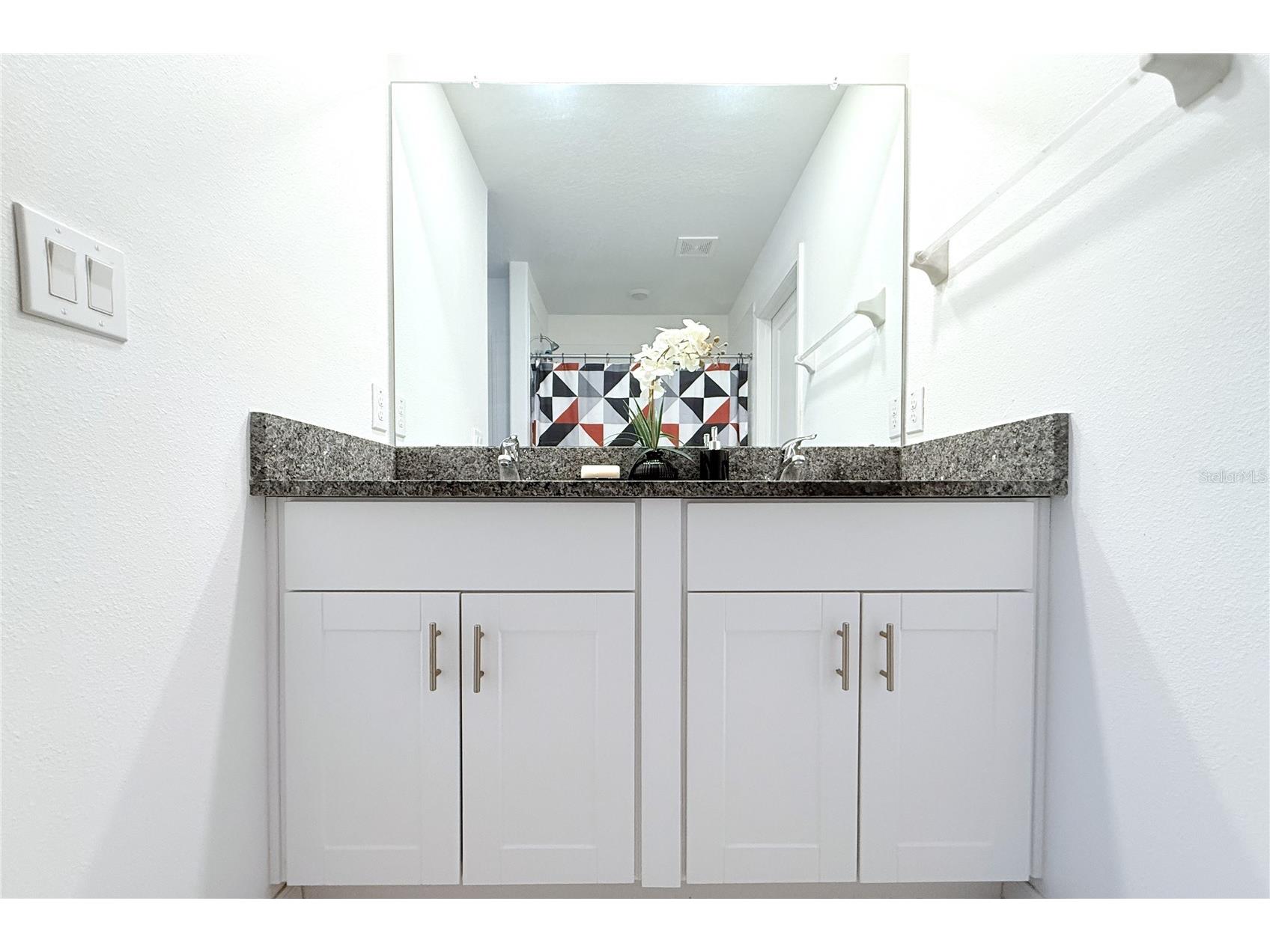 2058 Stellar Brilliance Way Lutz FL 33558 TB8459415 image42