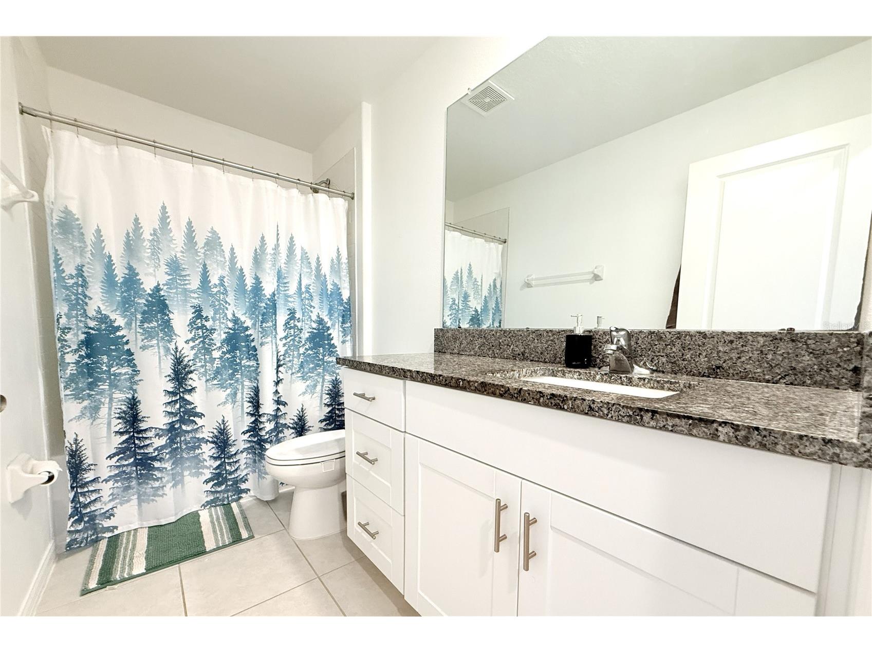 2058 Stellar Brilliance Way Lutz FL 33558 TB8459415 image44