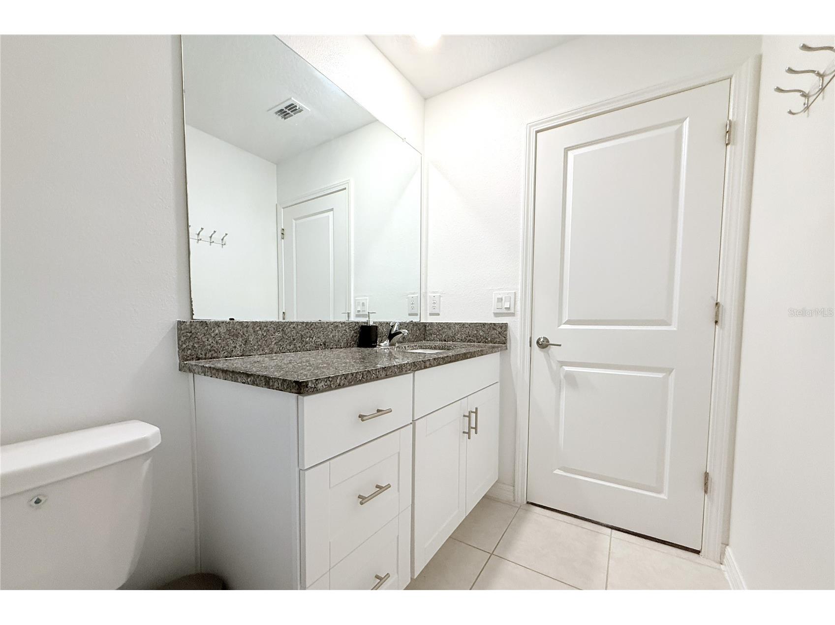 2058 Stellar Brilliance Way Lutz FL 33558 TB8459415 image46