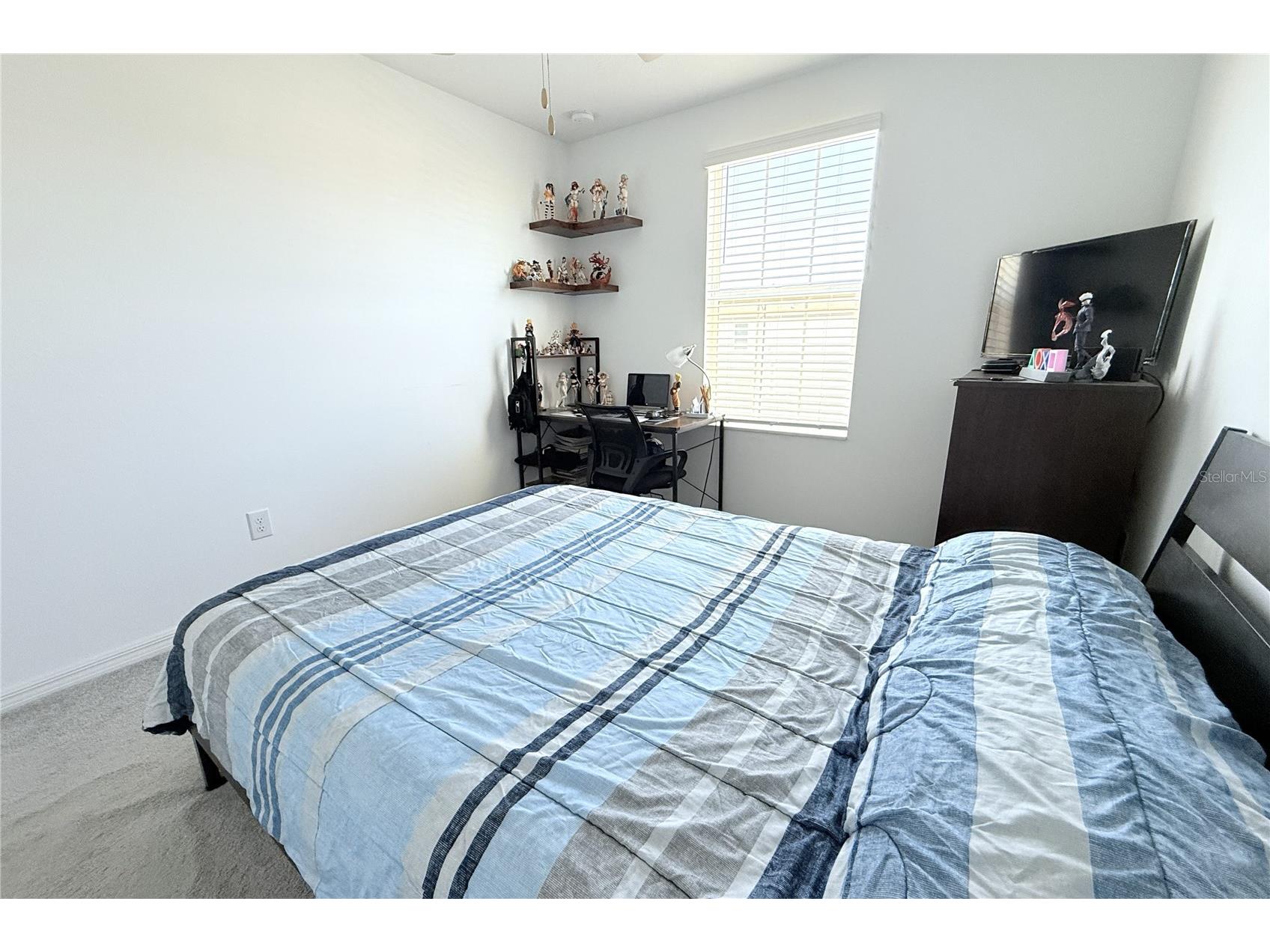 2058 Stellar Brilliance Way Lutz FL 33558 TB8459415 image50