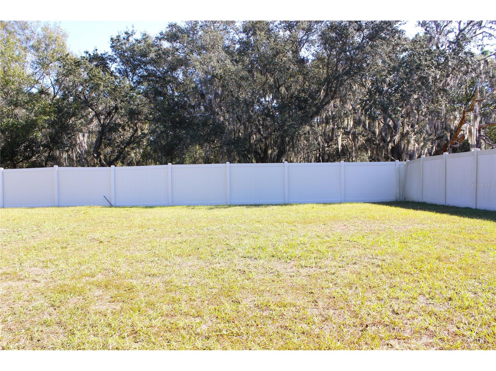 2058 Stellar Brilliance Way Lutz FL 33558 TB8459415 image59