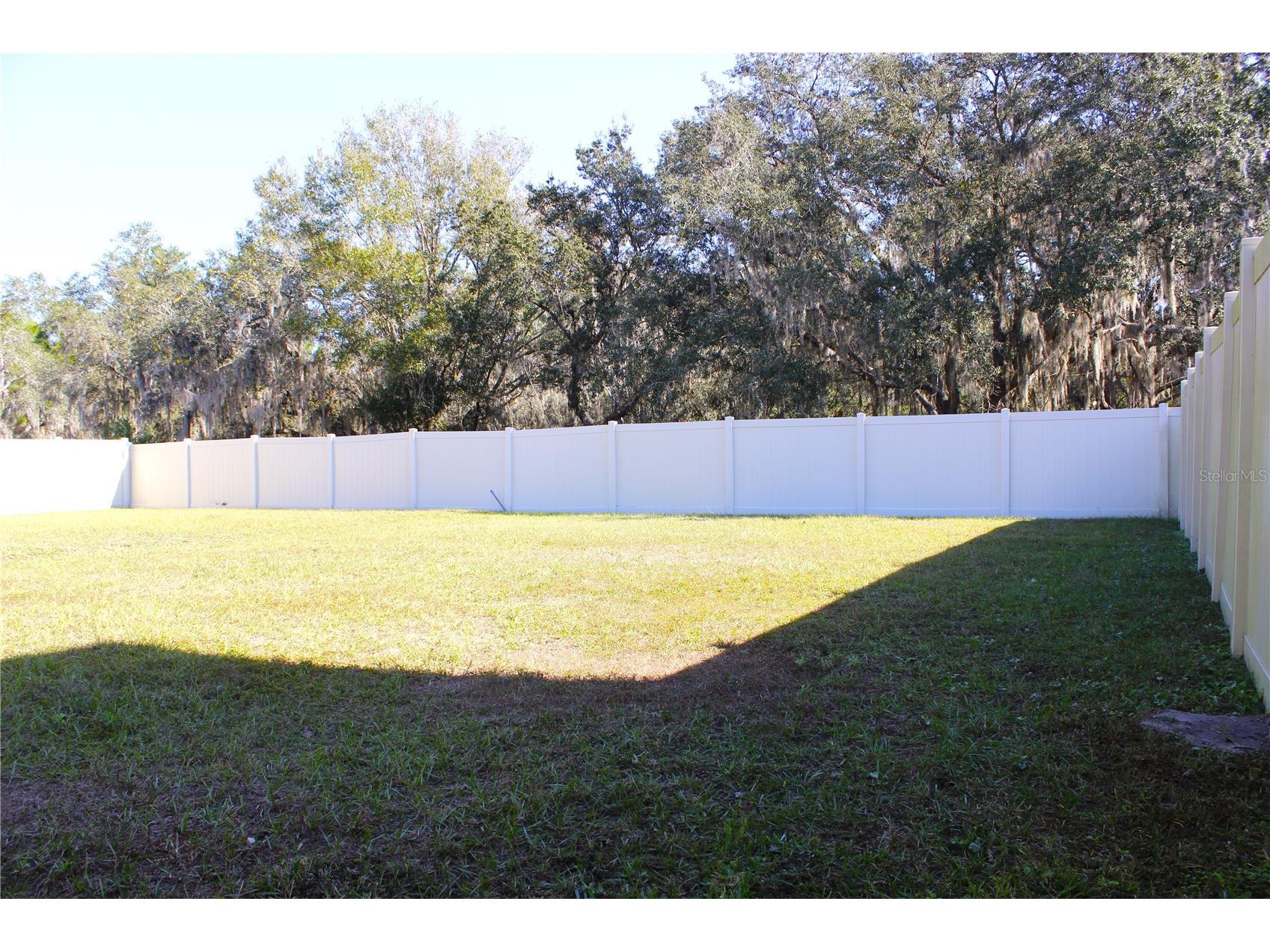 2058 Stellar Brilliance Way Lutz FL 33558 TB8459415 image60