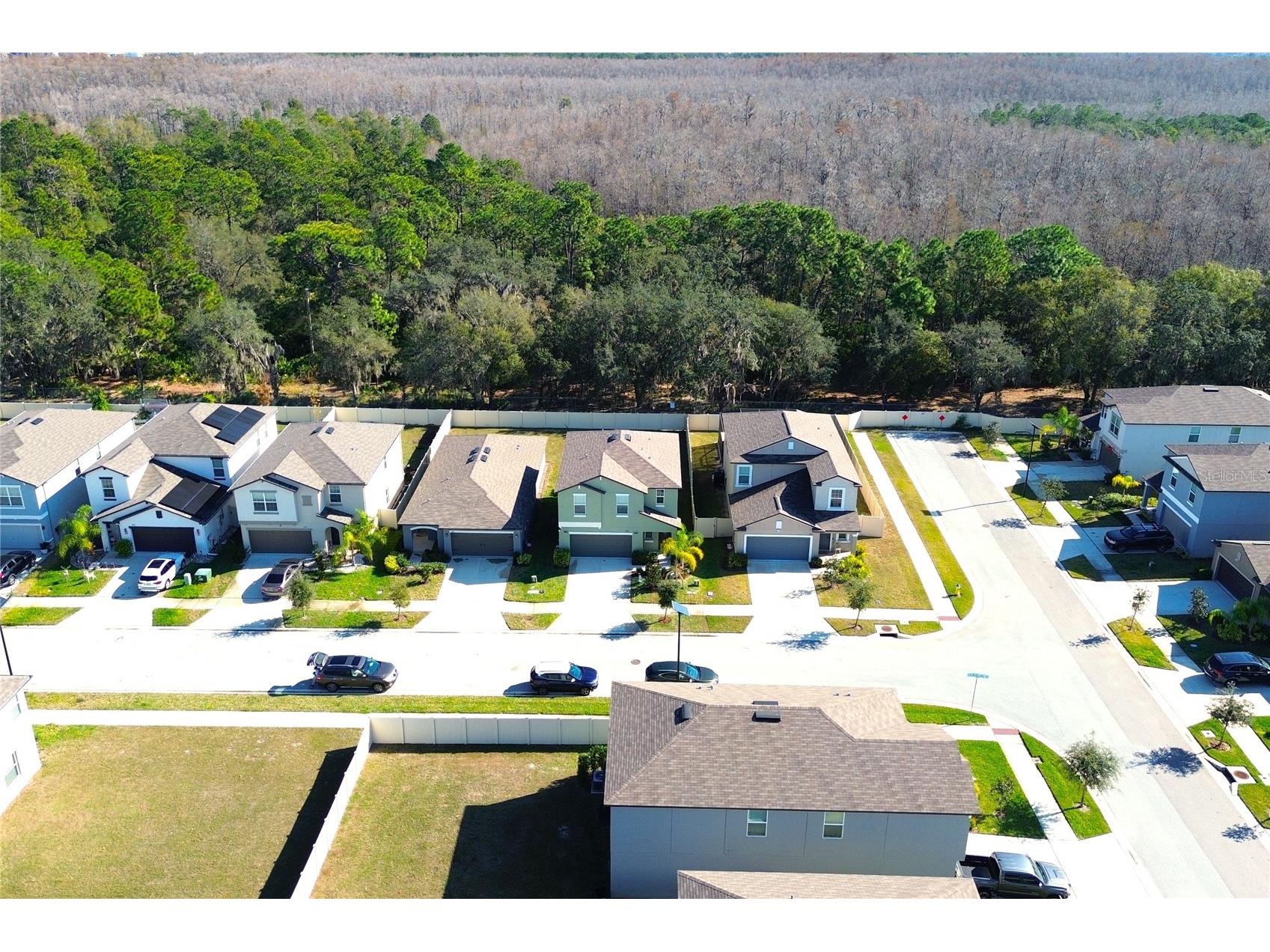 2058 Stellar Brilliance Way Lutz FL 33558 TB8459415 image62