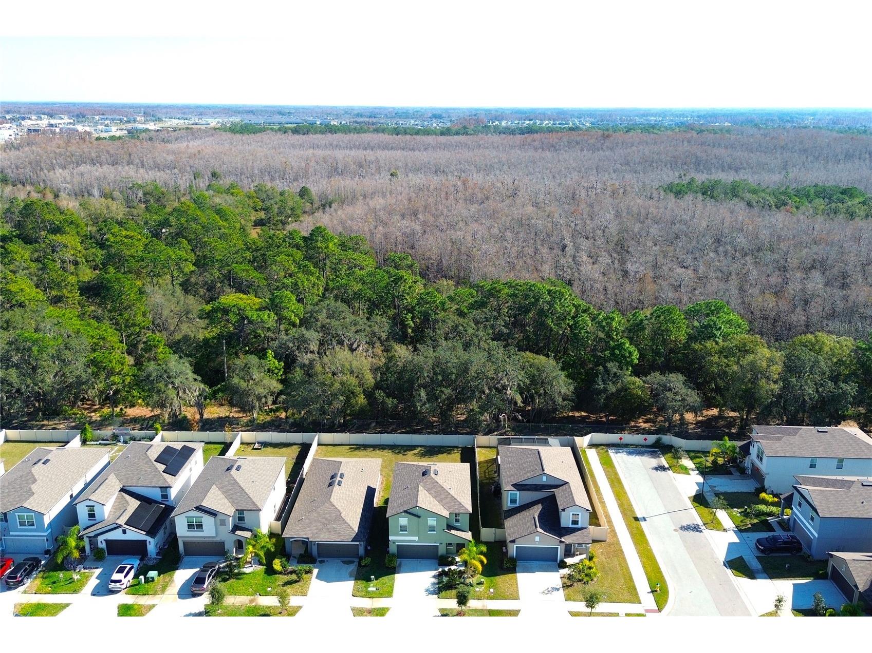 2058 Stellar Brilliance Way Lutz FL 33558 TB8459415 image64