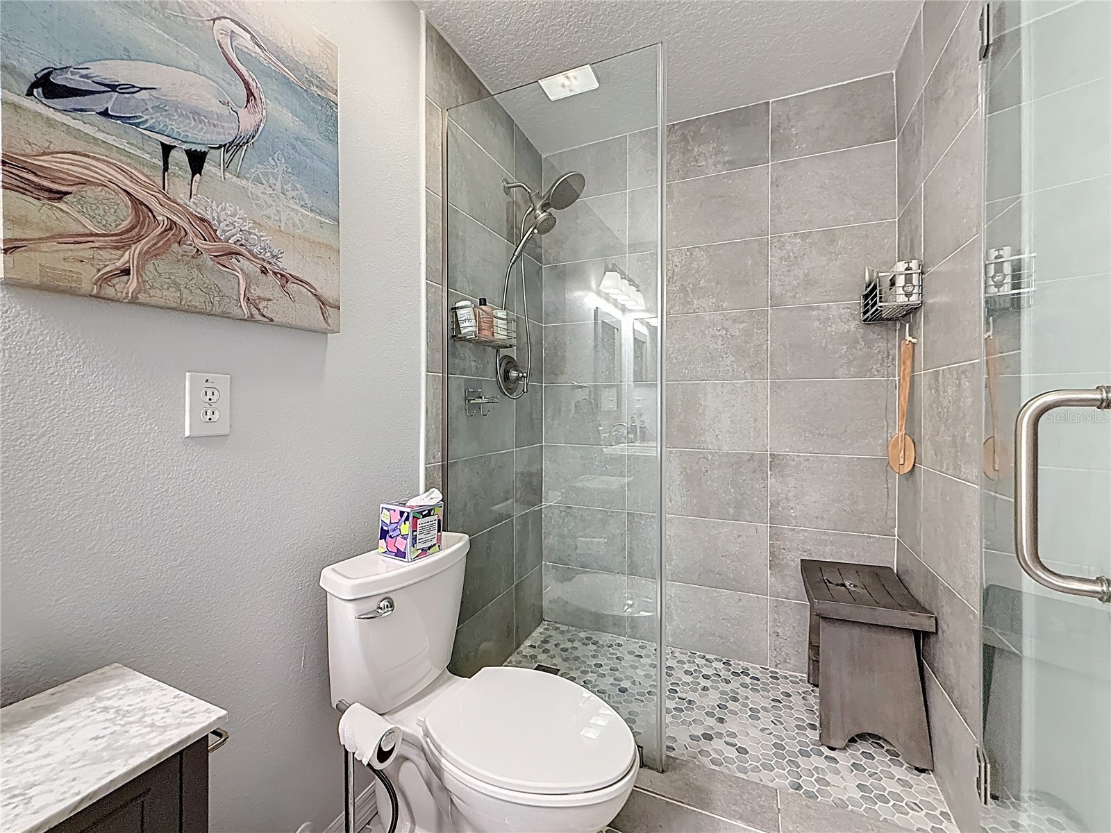 2058 Sun Down Drive Clearwater FL 33763 TB8458152 image40