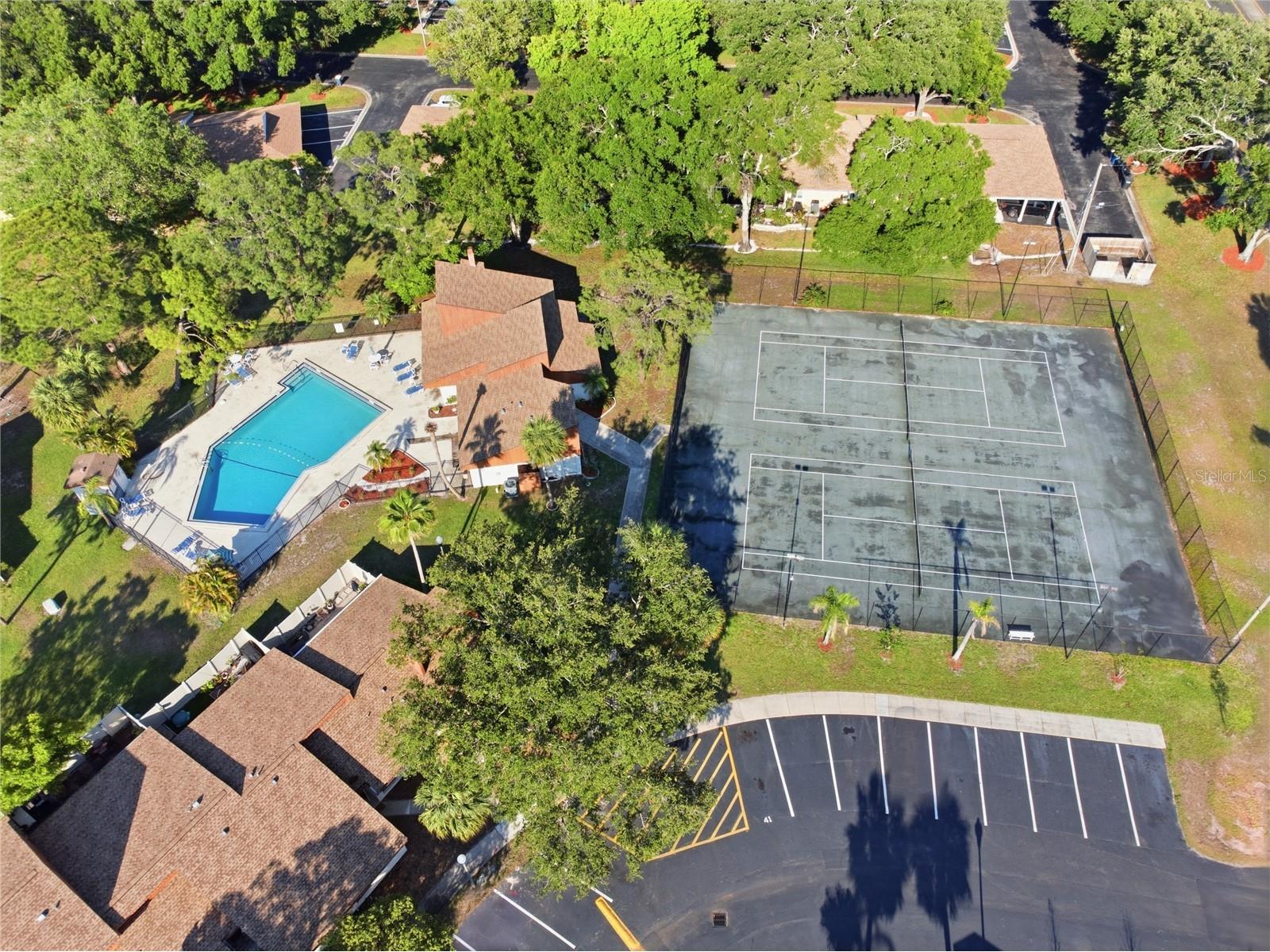 2058 Sunset Point Road #15 Clearwater FL 33765 TB8505641 image47