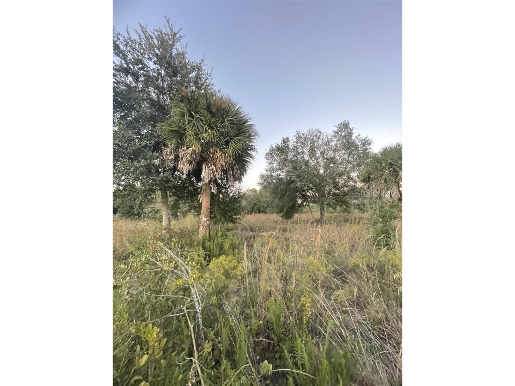 20581 NW 262nd Street Okeechobee FL 34972 A4672077 image1