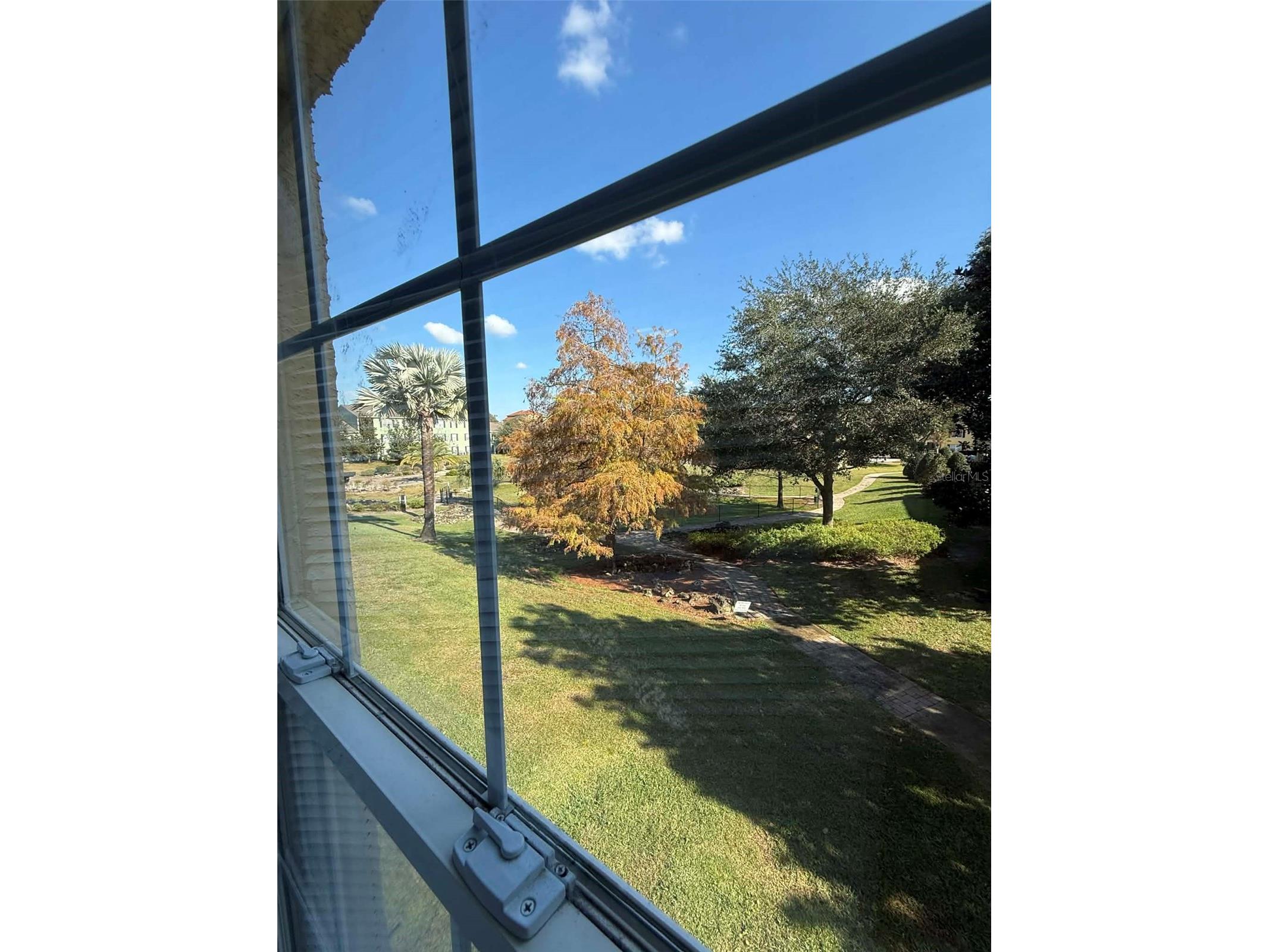 2059 Dixie Belle Drive #2059P Orlando FL 32812 O6383096 image12