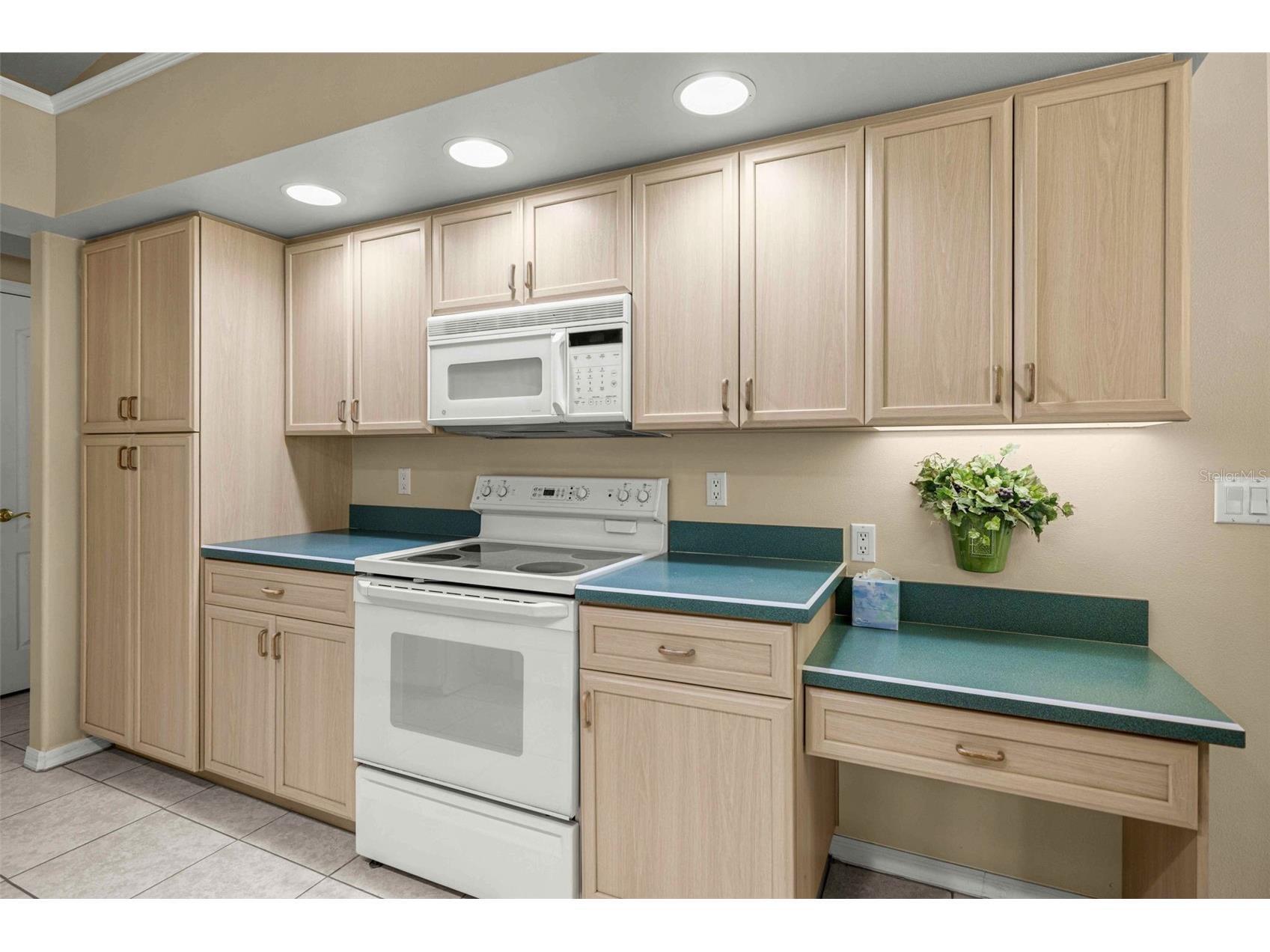 2059 W Tall Oaks Drive Beverly Hills FL 34465 OM728094 image12
