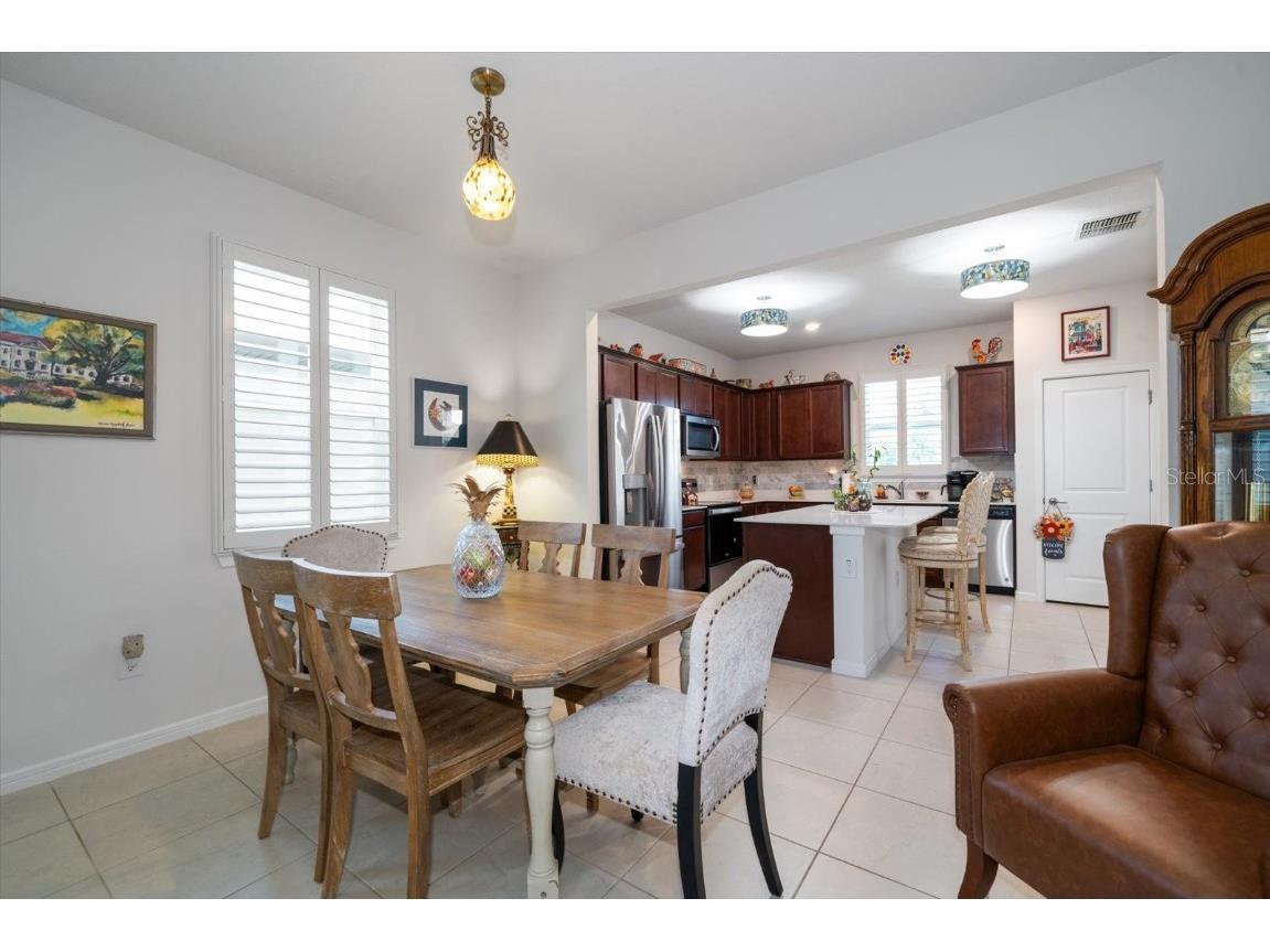 20591 Monza Loop Land O Lakes FL 34638 U8243902 image10