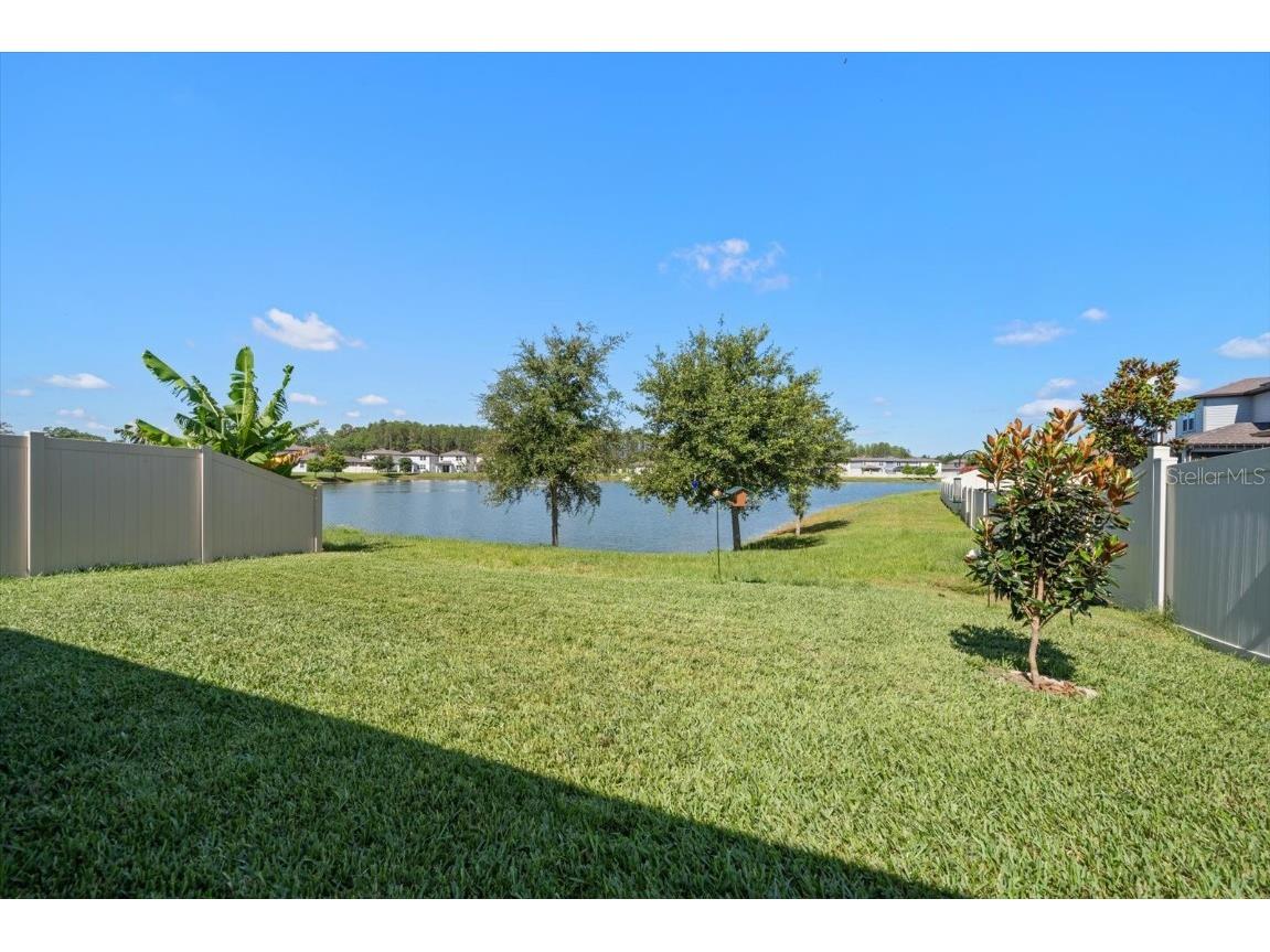 20591 Monza Loop Land O Lakes FL 34638 U8243902 image38