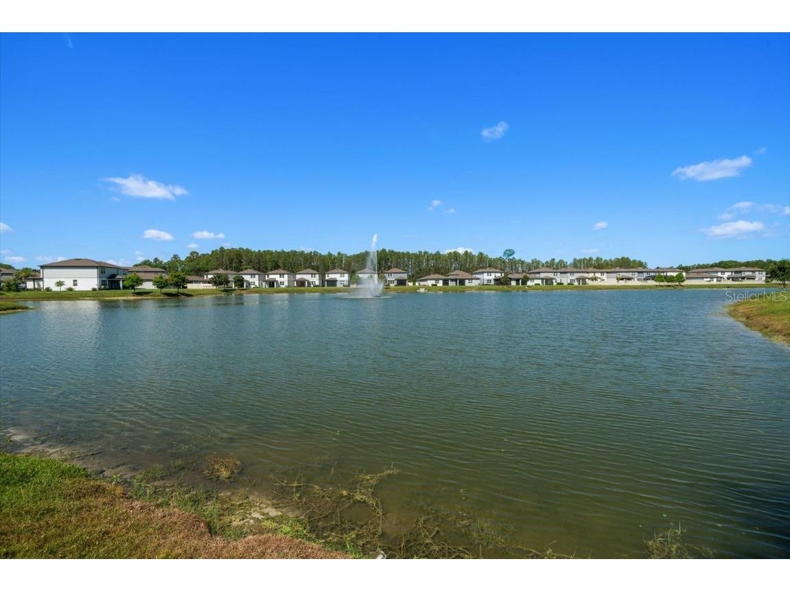 20591 Monza Loop Land O Lakes FL 34638 U8243902 image40