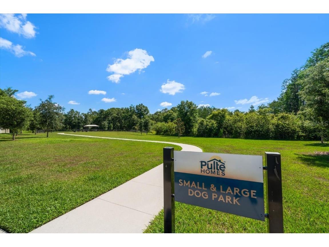20591 Monza Loop Land O Lakes FL 34638 U8243902 image41