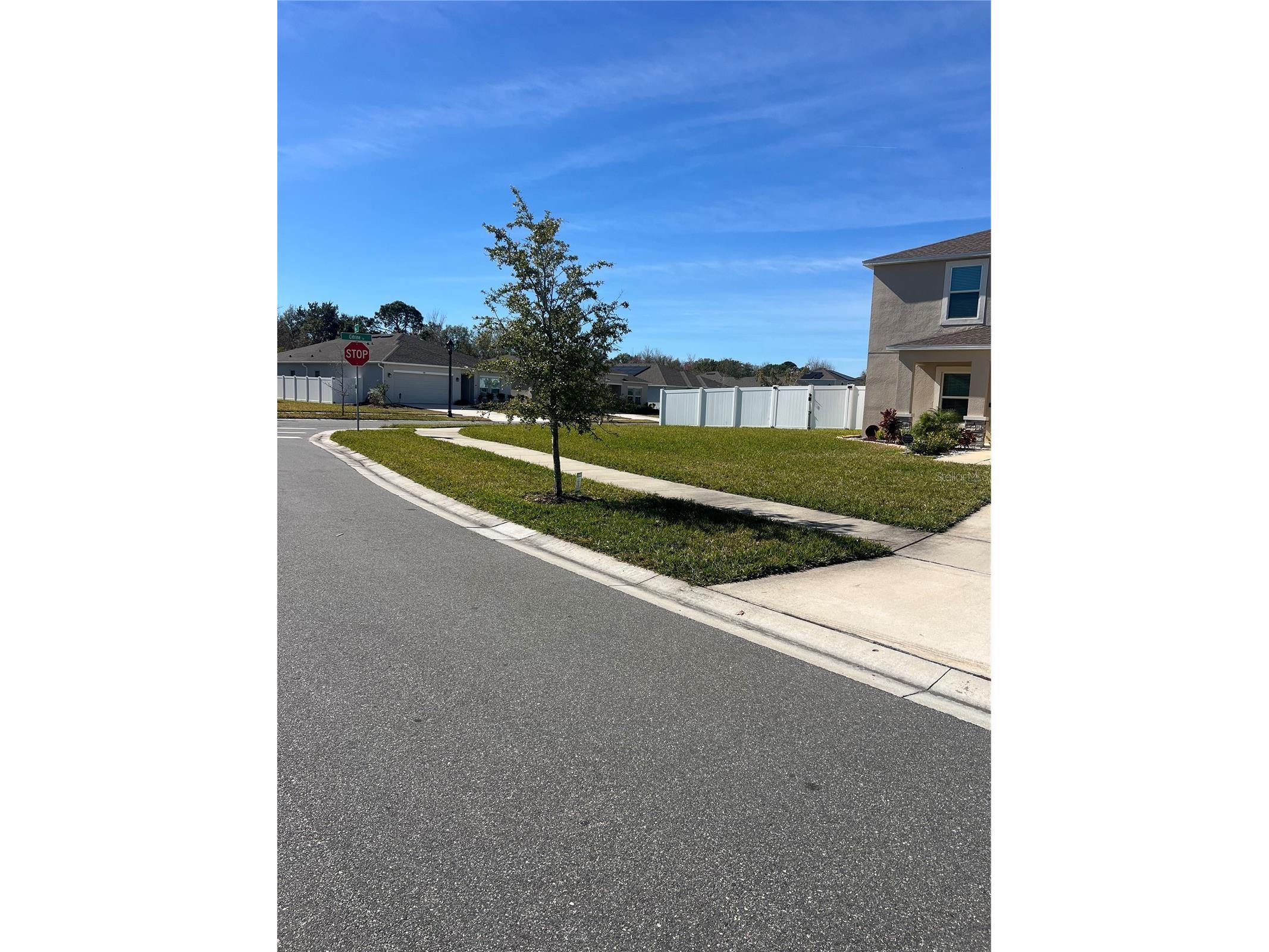 206 Amber Way Kissimmee FL 34758 S5142349 image43