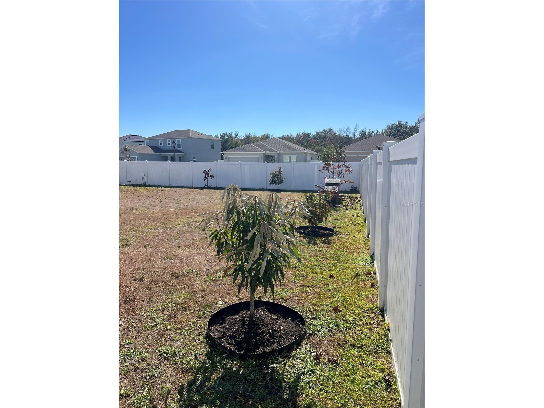 206 Amber Way Kissimmee FL 34758 S5142349 image54