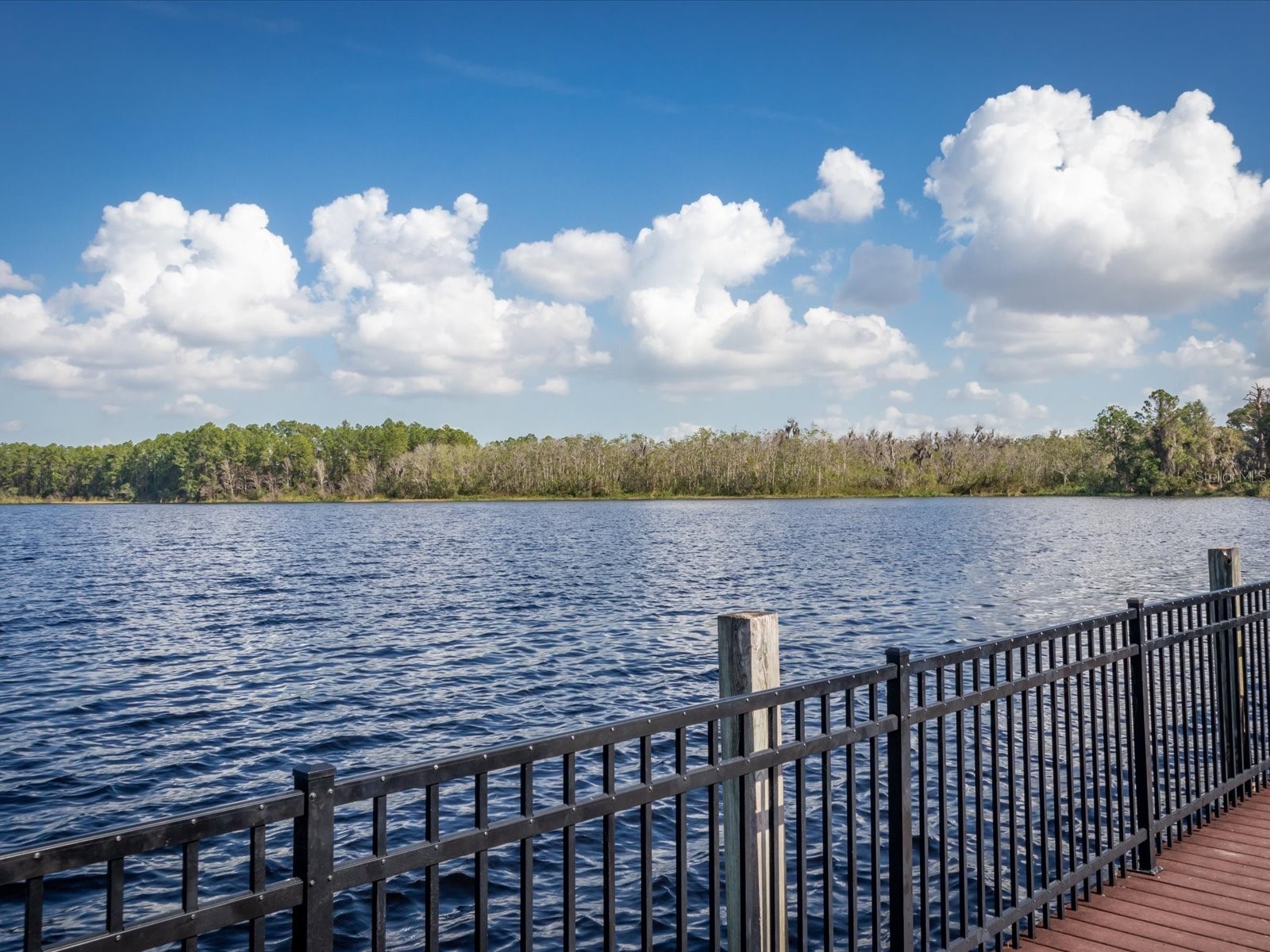 206 Andros Avenue #15202 Davenport FL 33897 O6402539 image37