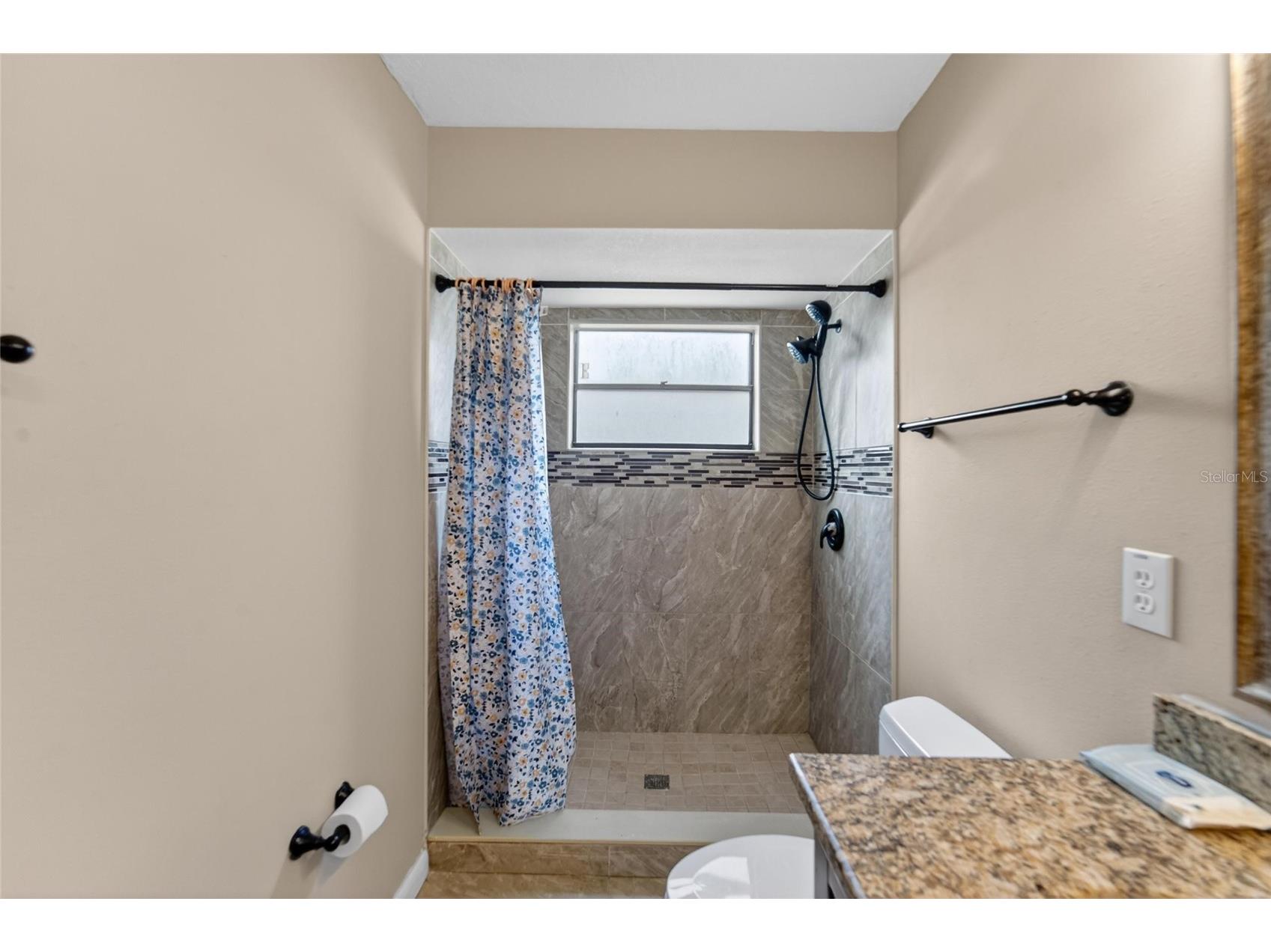 206 Bayfield Drive Brandon FL 33511 TB8481284 image38