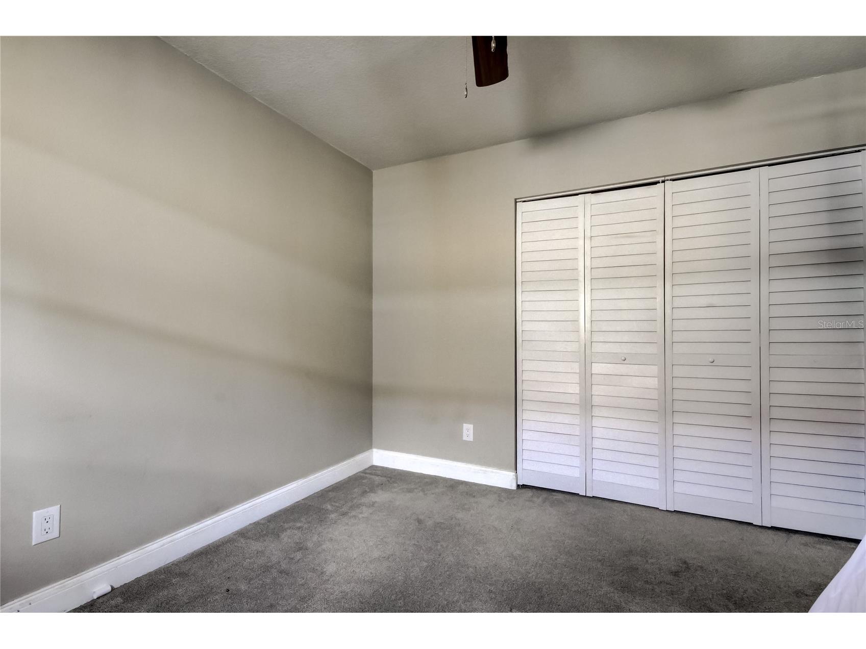 206 Bedford Street Oldsmar FL 34677 TB8455925 image35