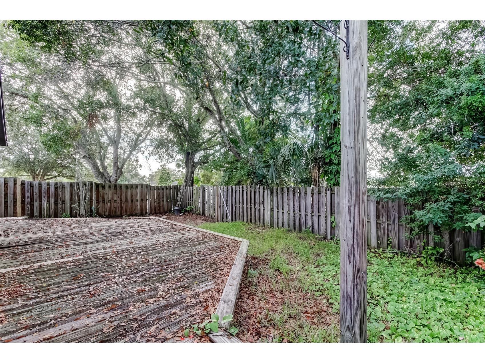 206 Bedford Street Oldsmar FL 34677 TB8455925 image41