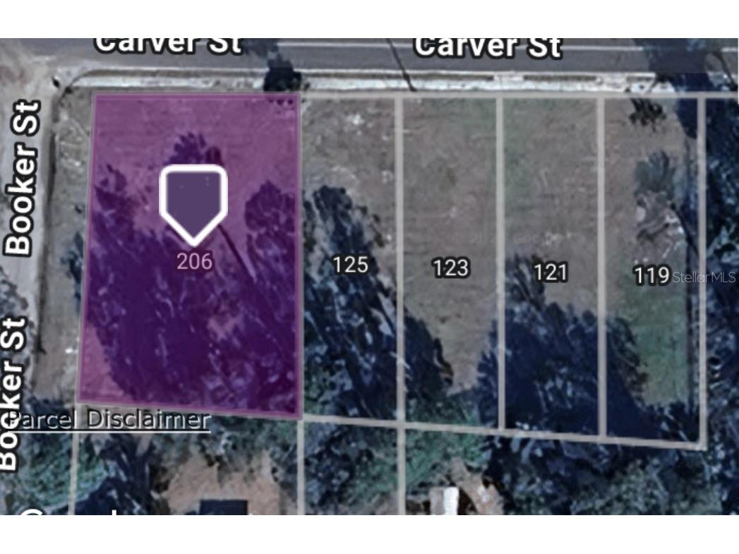 206 Booker Street Palatka FL 32177 OM714021 image1