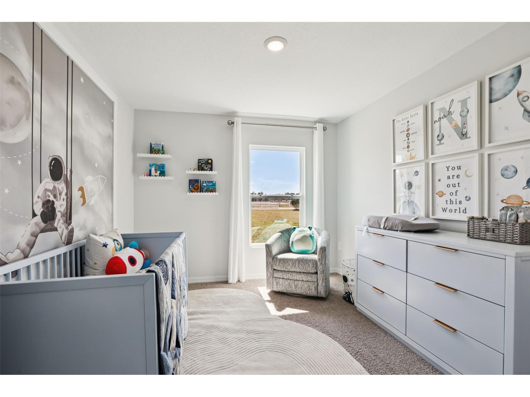 206 Bull Frog Lane Umatilla FL 32784 O6400272 image32