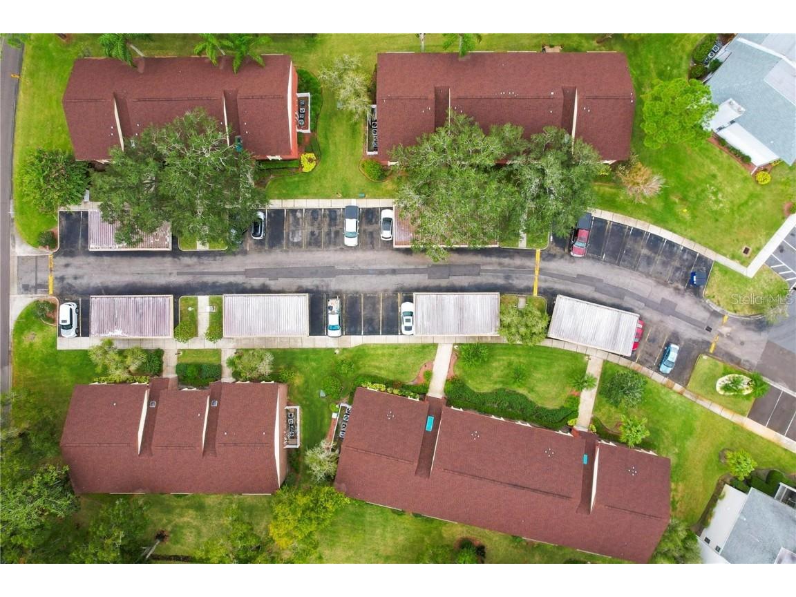 206 Caryl Way #1 Oldsmar FL 34677 TB8427572 image12