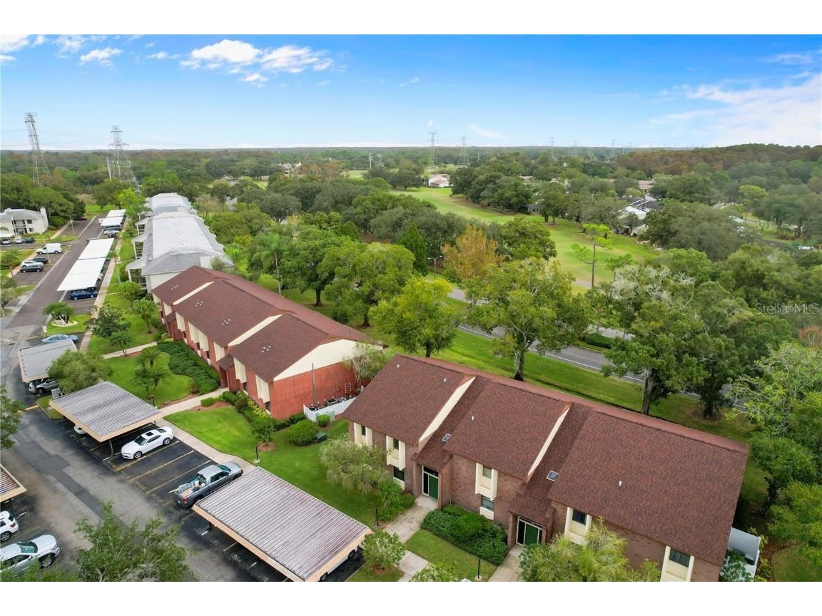 206 Caryl Way #1 Oldsmar FL 34677 TB8427572 image14