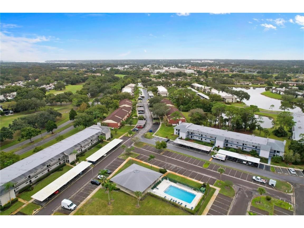 206 Caryl Way #1 Oldsmar FL 34677 TB8427572 image15